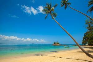 strand-met-blauwe-lucht-en-palmbomen